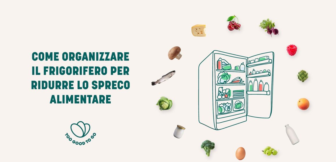 Come conservare il cibo in frigorifero e come organizzarlo al meglio Too Good To Go