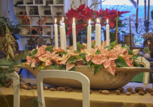Dal Foliage alle Feste: idee DIY con le Stelle di Natale