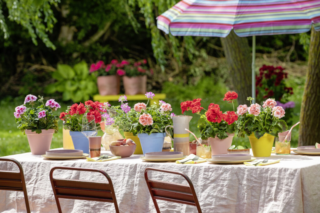 Giornata Mondiale del picnic: festeggia con un geraneo!