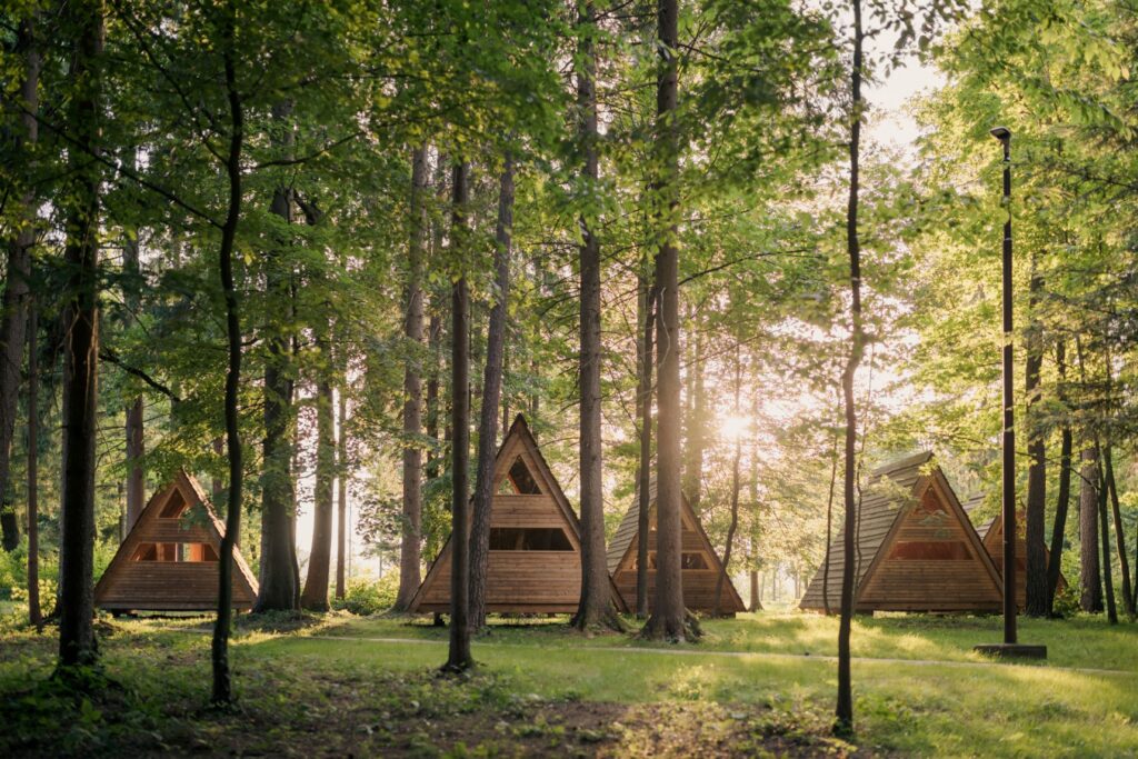 Sei mete estive perfette tra natura, comfort e ospitalità pet-friendly