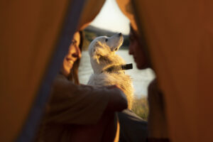 Sei mete estive perfette tra natura, comfort e ospitalità pet-friendly