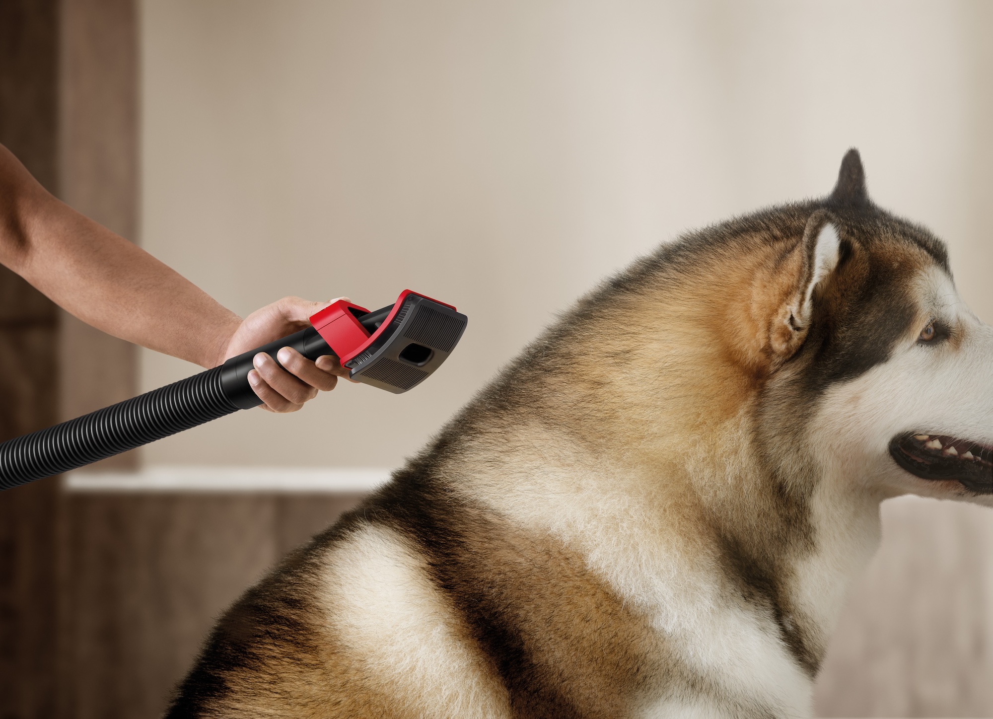 Dyson V16 Piston Animal: la soluzione di pulizia definitiva per chi ha animali domestici