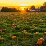 Halloween 2025: tra “micro-viaggi” e mete da brivido