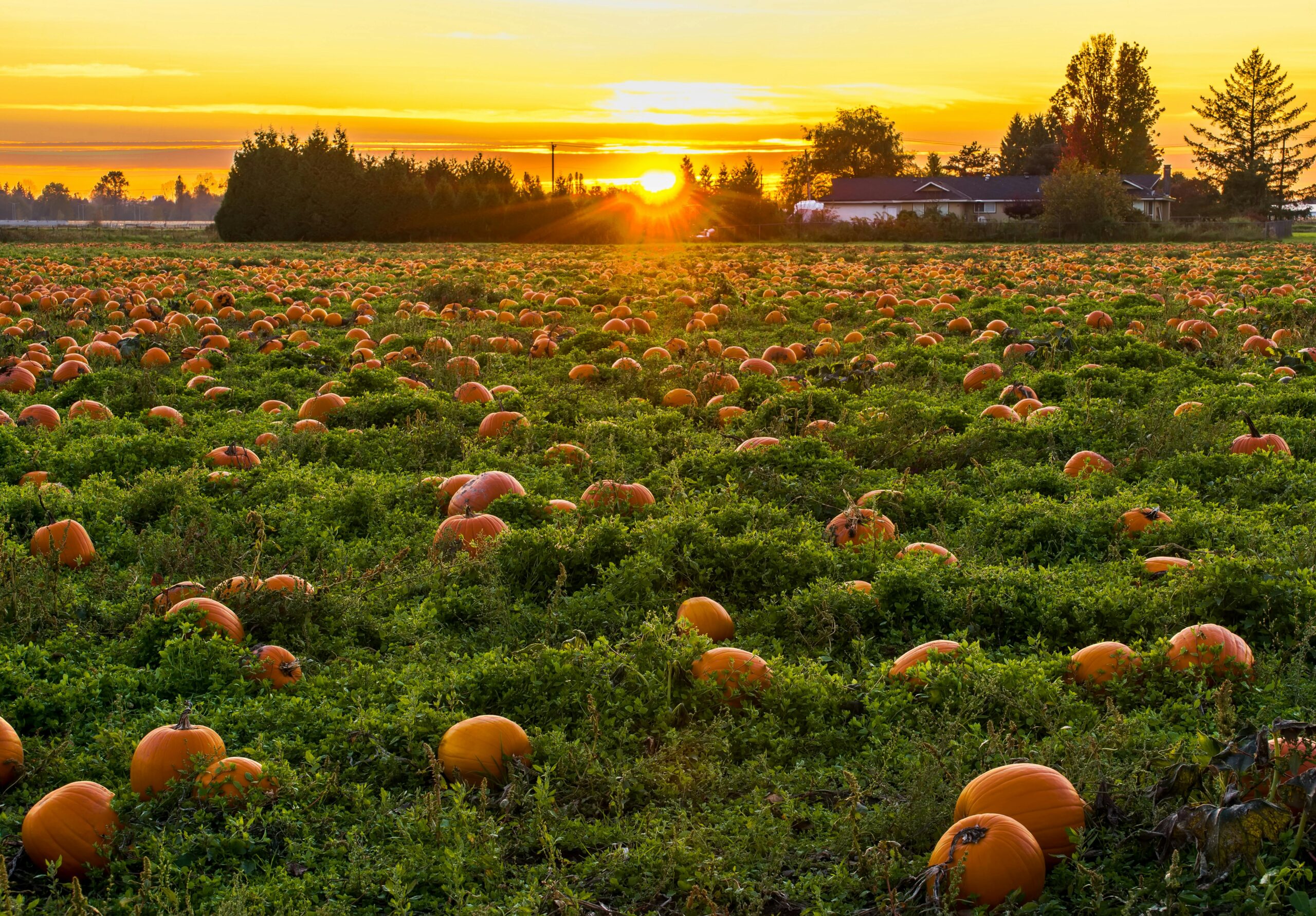 Halloween 2025: tra “micro-viaggi” e mete da brivido