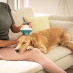 Love Your Pet by Beurer, l'innovativa linea dedicata agli amici a quattro zampe
