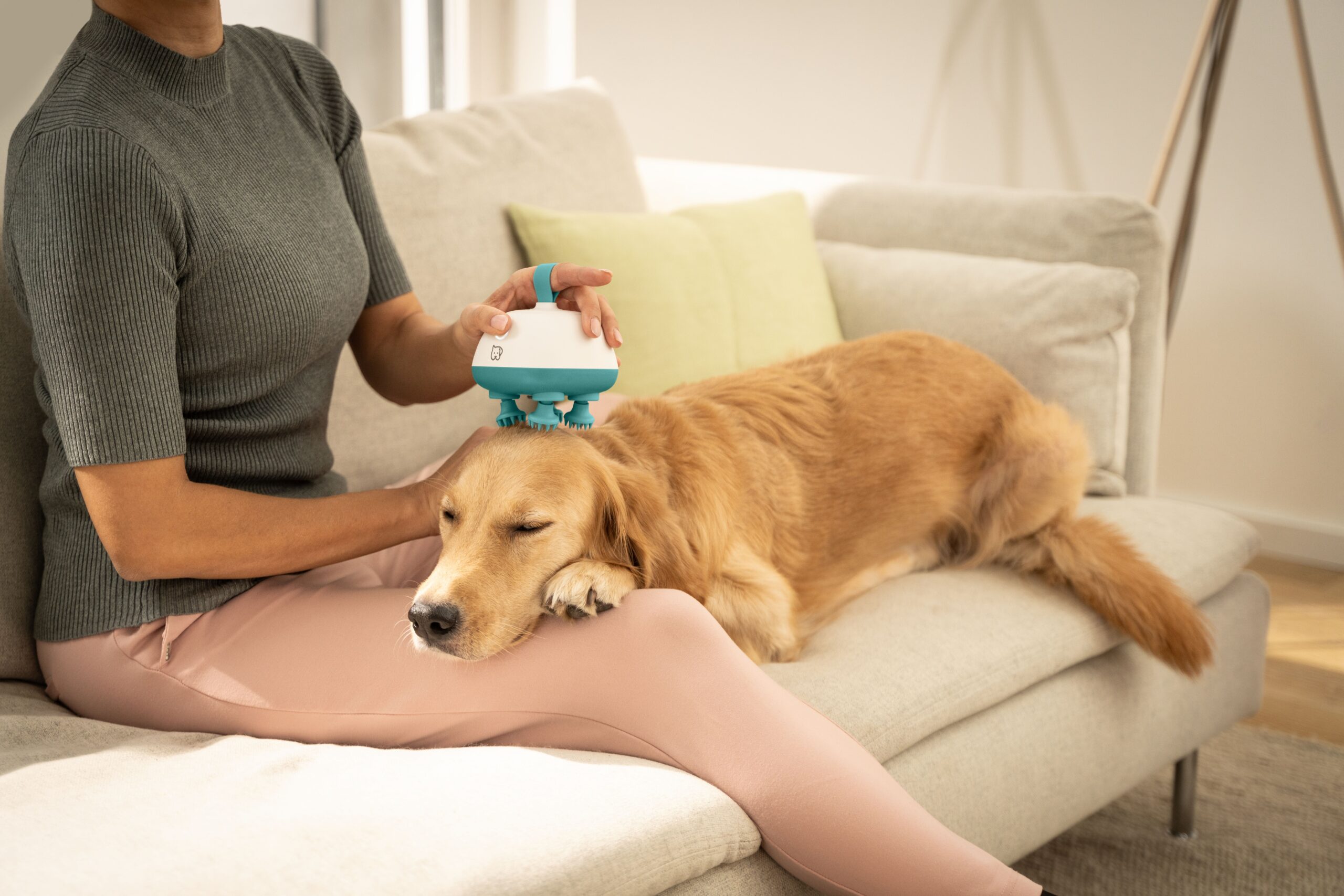 Love Your Pet by Beurer, l'innovativa linea dedicata agli amici a quattro zampe