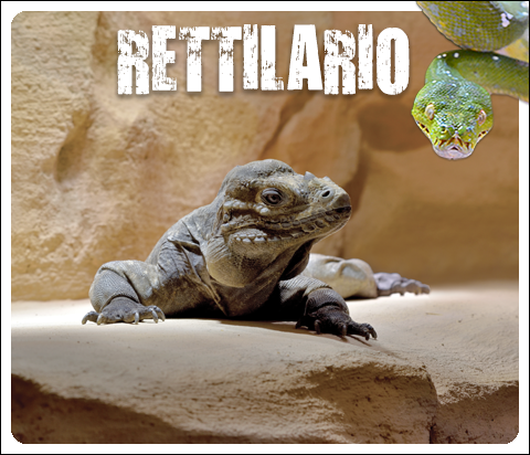 Tutti a bordo! Riparte la stagione dei parchi a tema