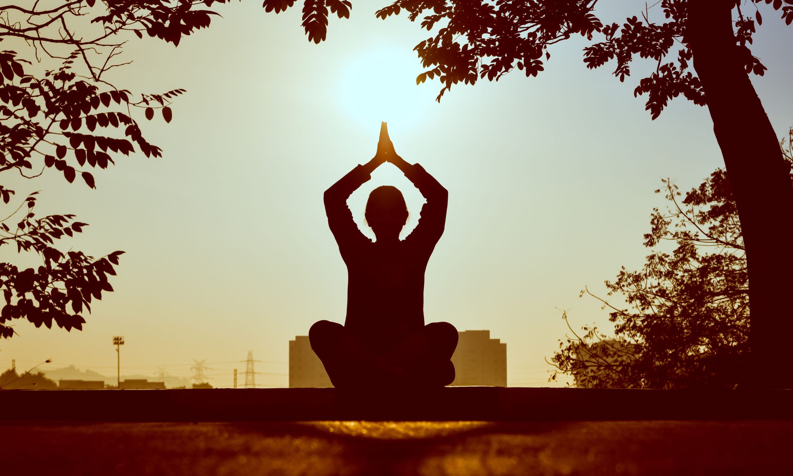 International Yoga Day: 6 destinazioni nel mondo dove ritrovare equilibrio tra natura, spiritualità e movimento