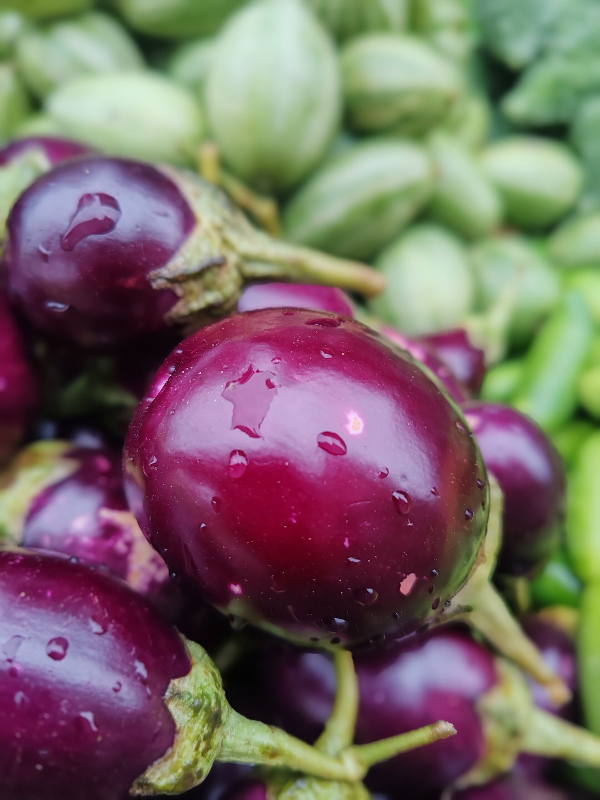 Conservare le melanzane fresche e senza macchie: la guida completa