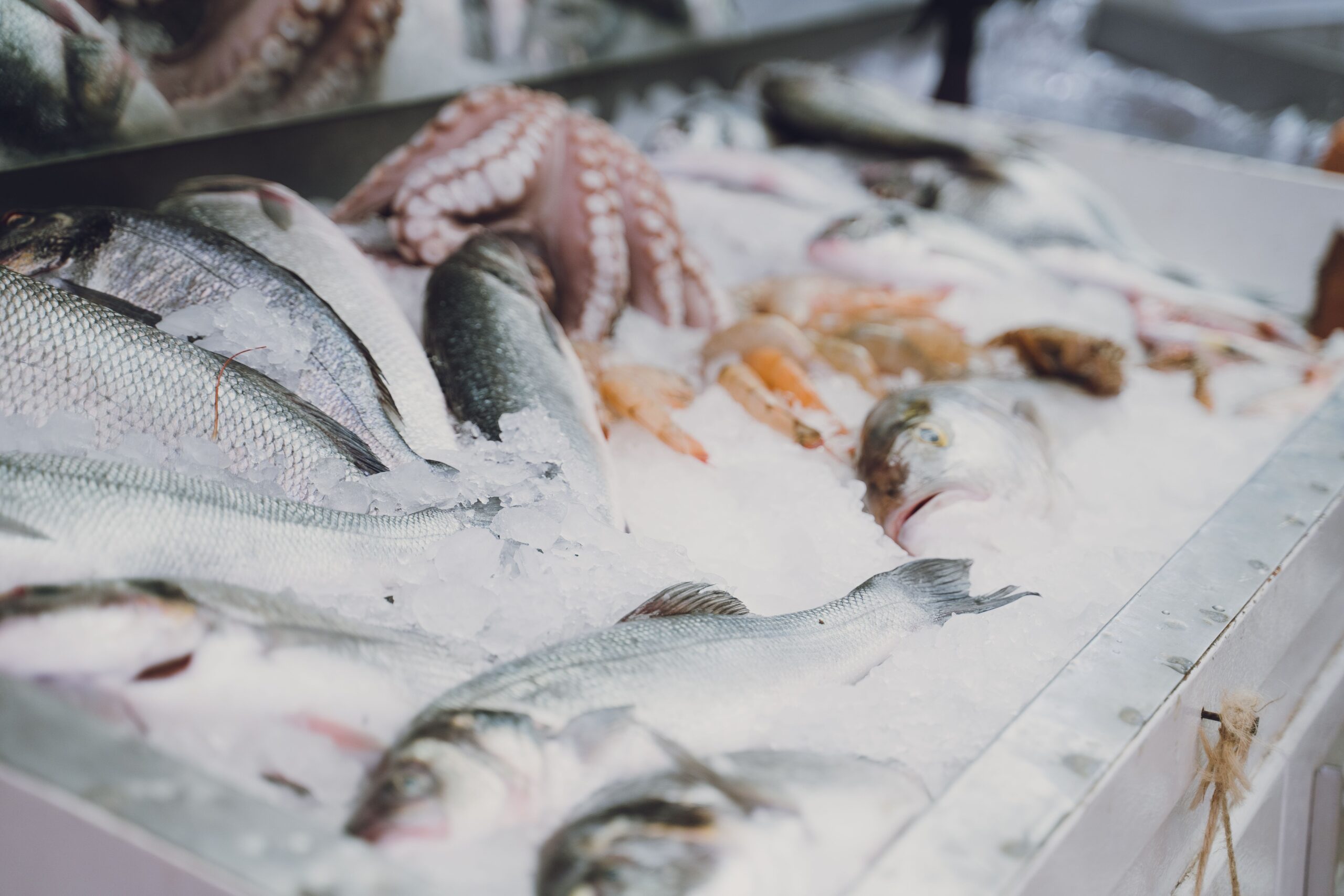 Come scongelare il pesce velocemente: i metodi sicuri per farlo in pochi minuti
