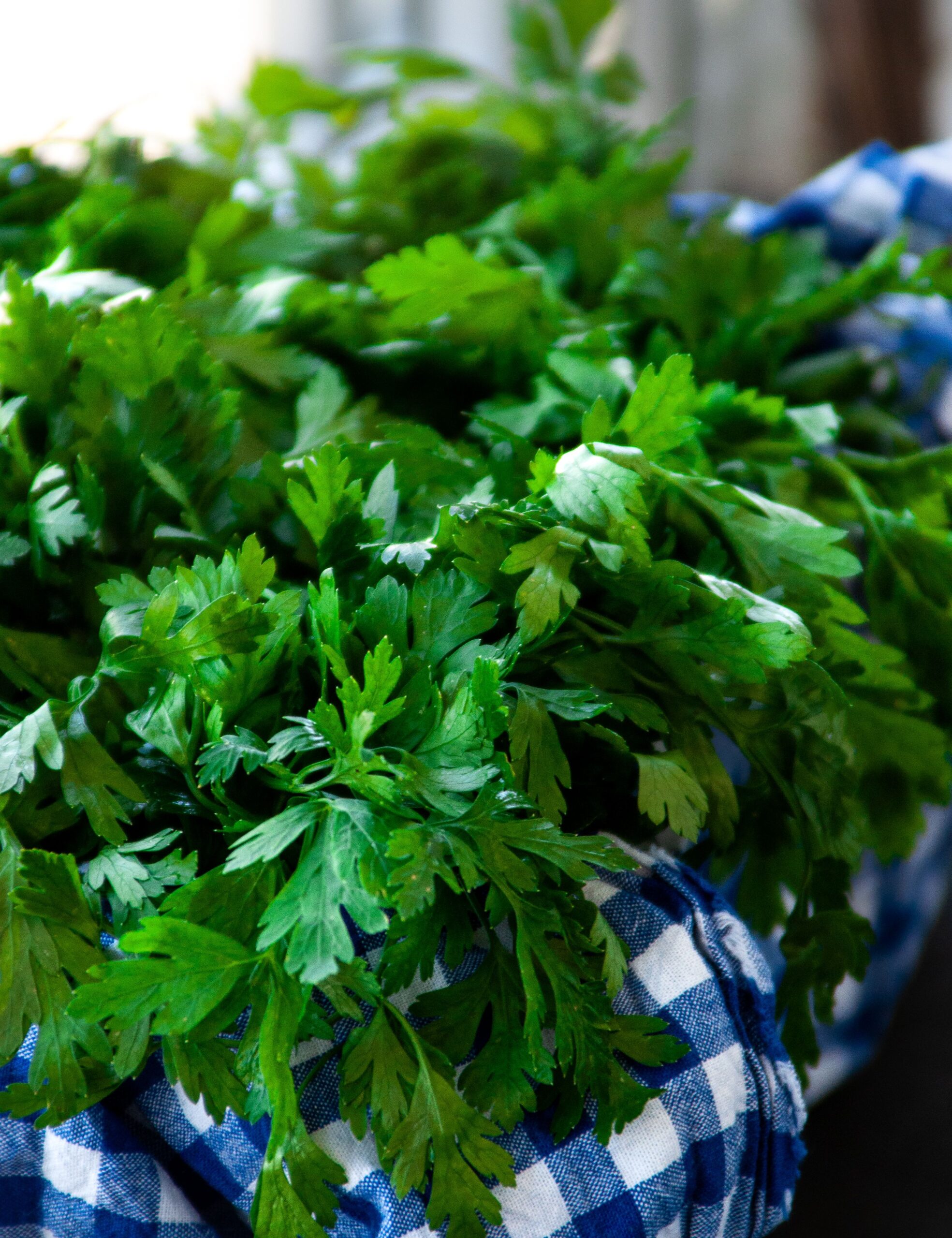 L'unica erba aromatica che non dovresti mai mettere in frigo