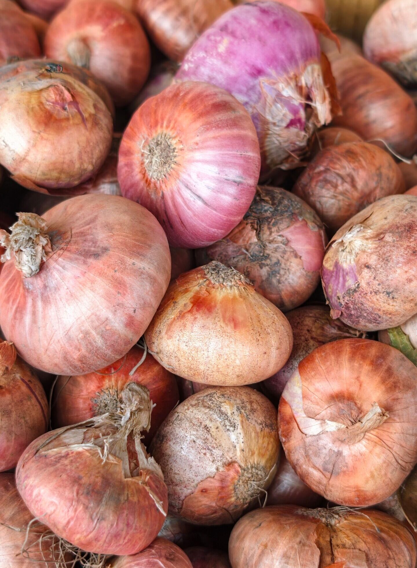 Il modo intelligente per conservare le cipolle e preservarne tutto il sapore