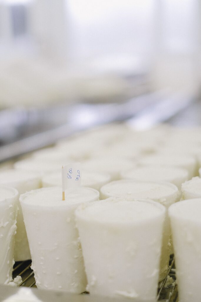Congelare il formaggio: i consigli per conservarlo al meglio