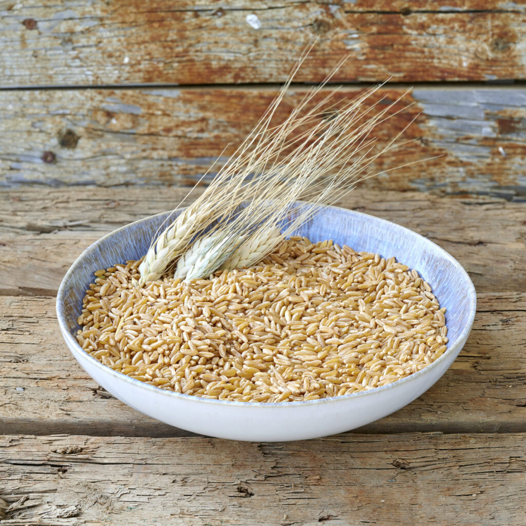 Birra del futuro prodotta con grano khorasan a marchio KAMUT