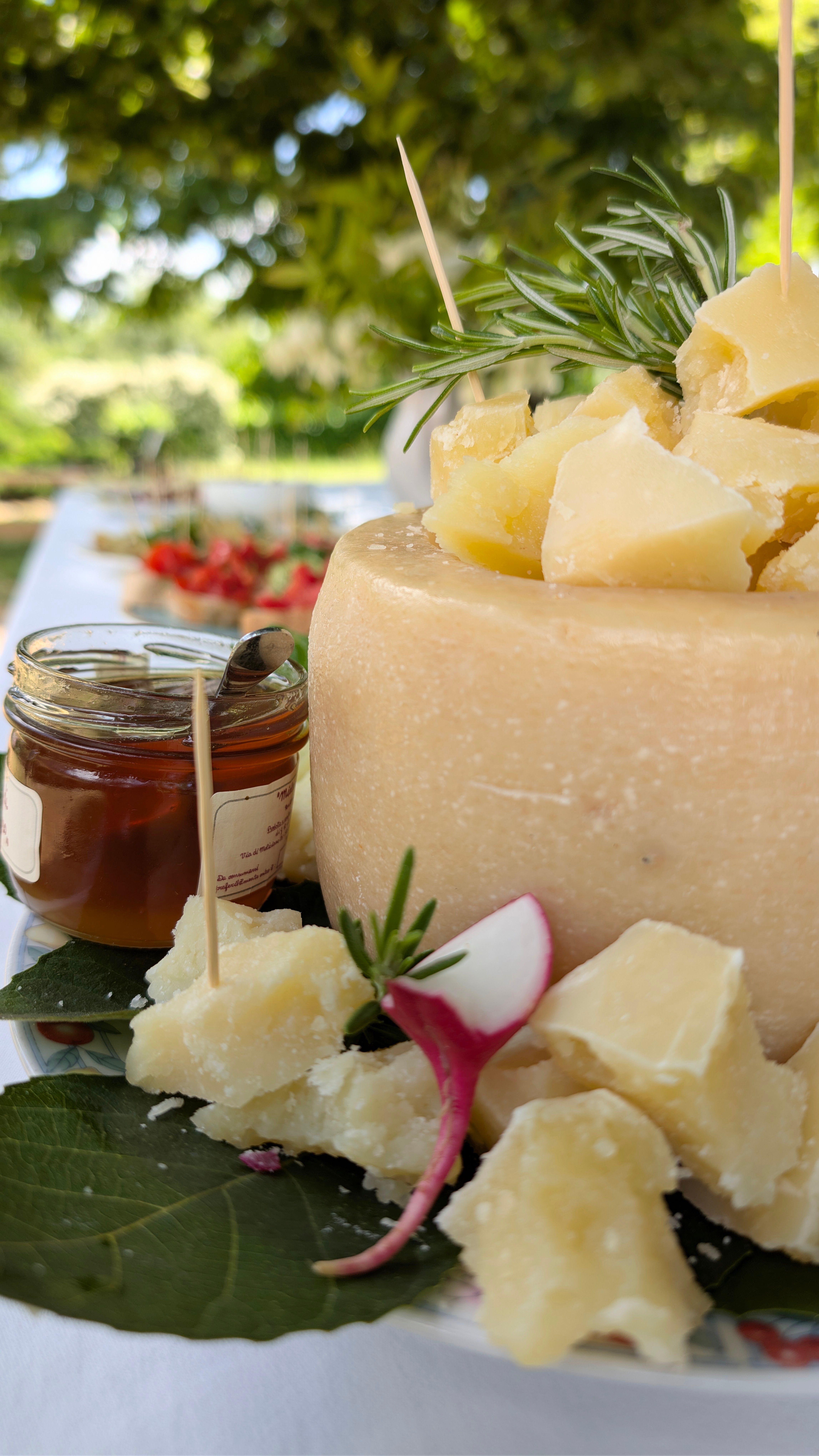Ricette di settembre: piatti semplici tra gli ultimi sapori estivi e l’autunno