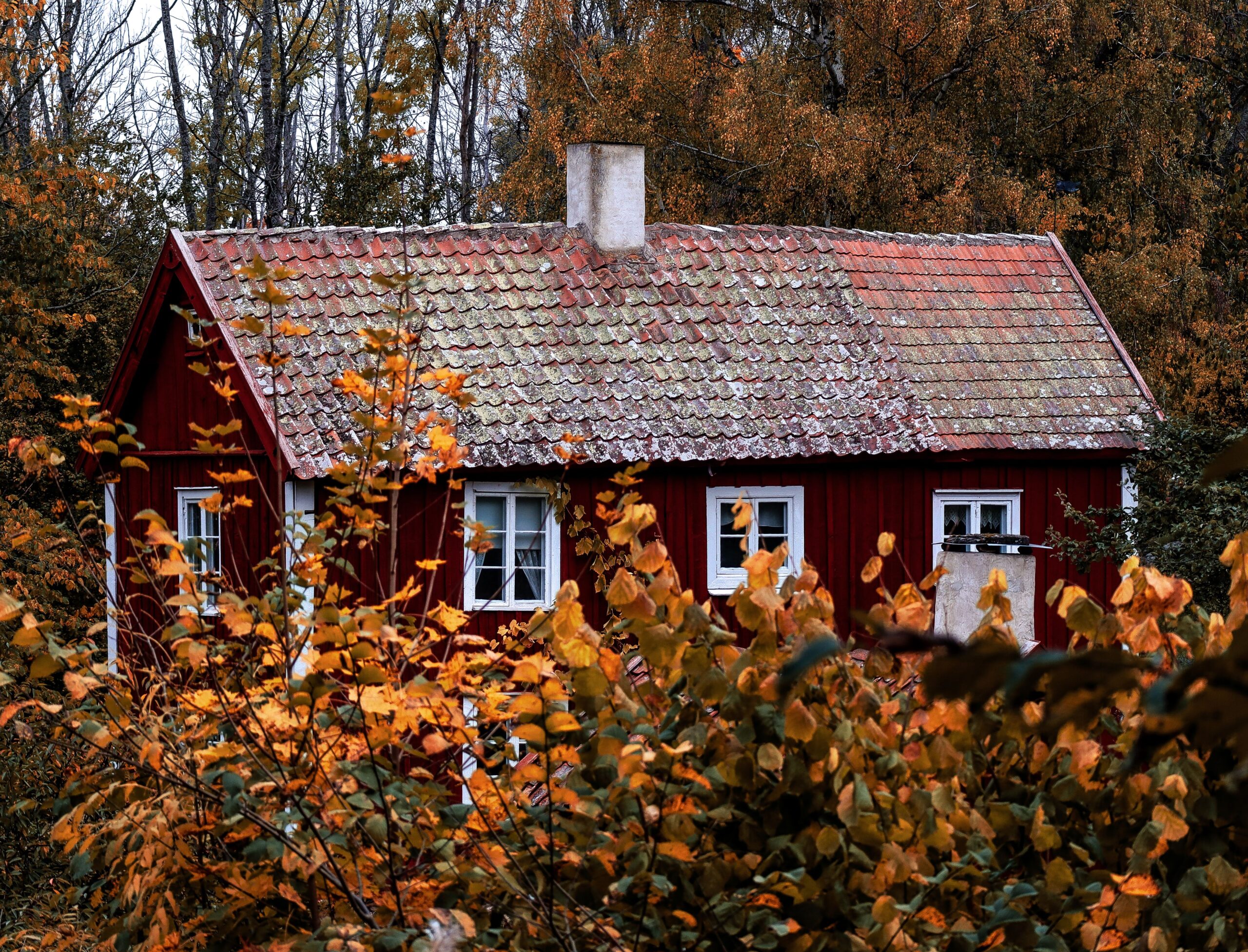 Colori d&rsquo;autunno in casa: le tonalit&agrave; di tendenza per settembre