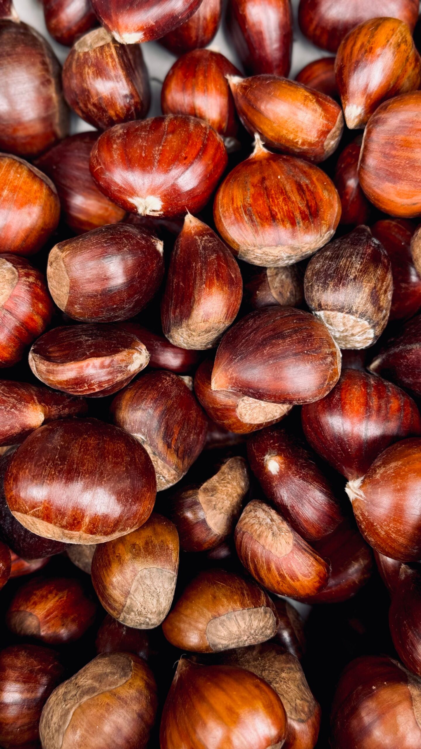 Castagne protagoniste: come cuocerle e conservarle nel modo giusto