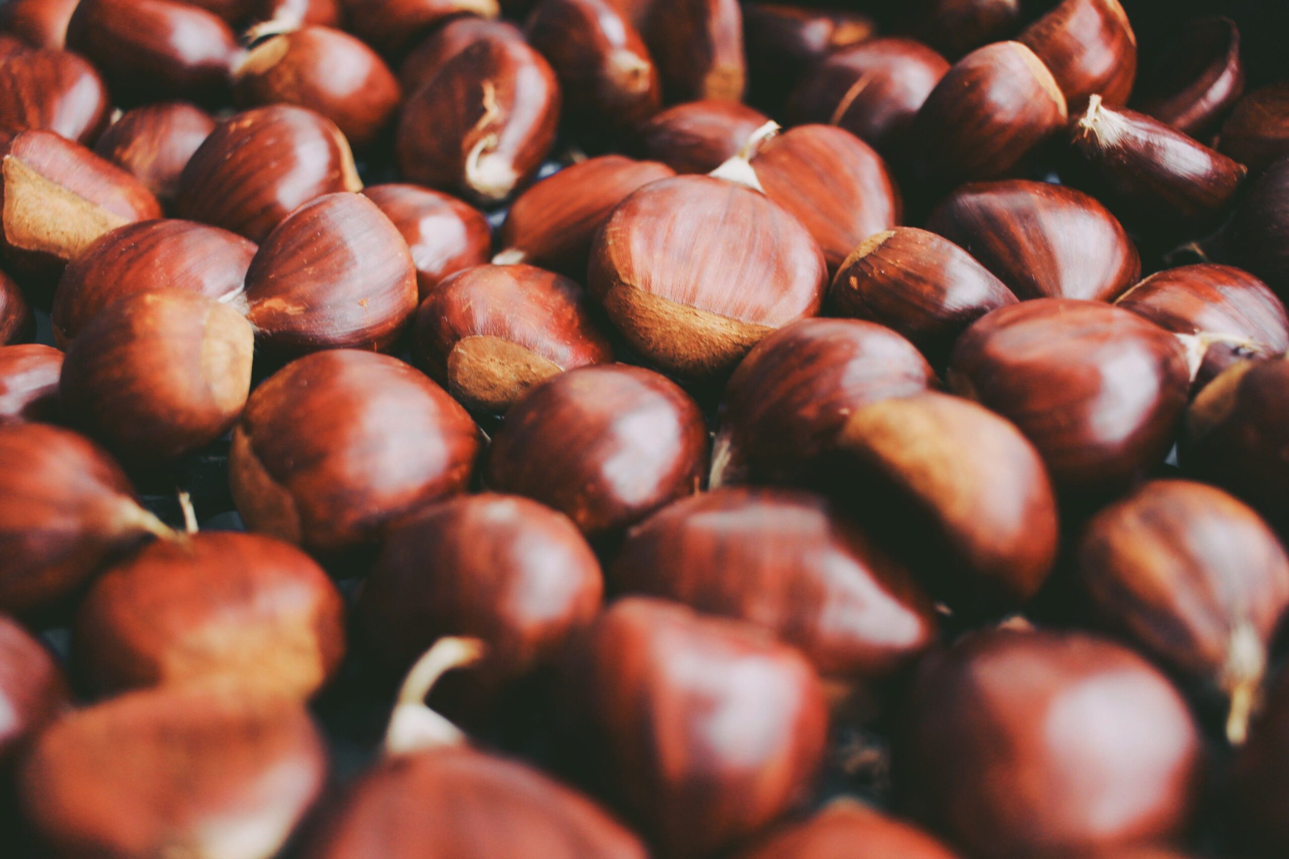 Castagne protagoniste: come cuocerle e conservarle nel modo giusto