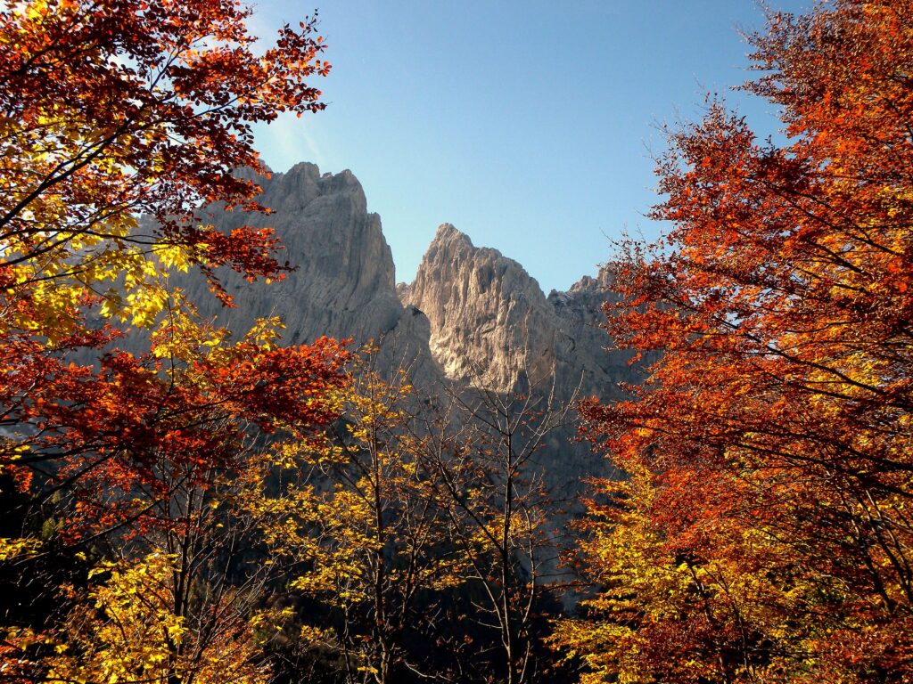 Foliage in Italia: i luoghi più belli dove ammirare i colori dell’autunno