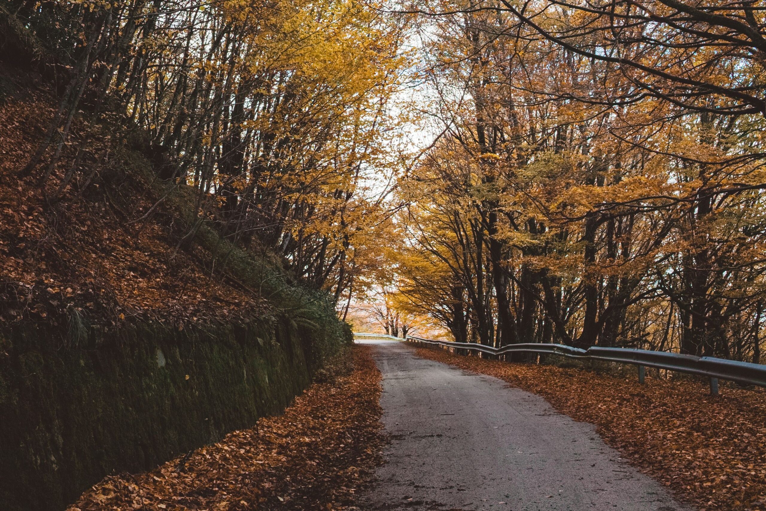 Foliage in Italia: i luoghi pi&ugrave; belli dove ammirare i colori dell&rsquo;autunno