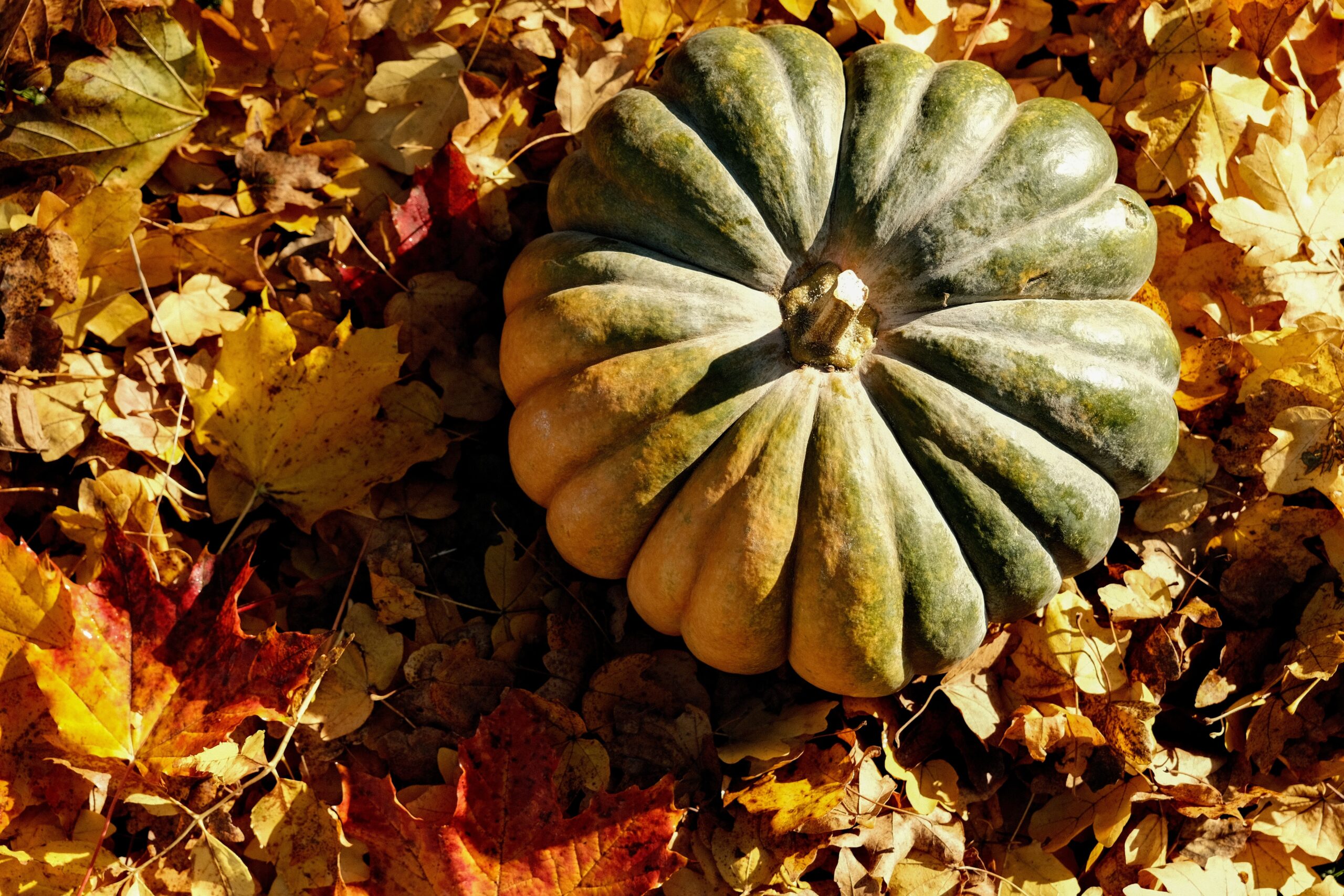 Frutta e verdura di ottobre: cosa comprare e come utilizzarla in cucina