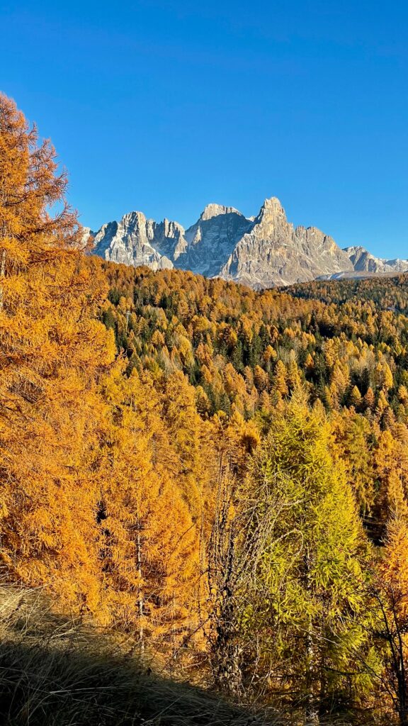 Foliage in Italia: i luoghi più belli dove ammirare i colori dell’autunno